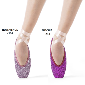 Pointes GLITTER  Merlet