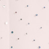 Tutu plateau paillettes