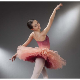 Tutu dégradé