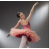 Tutu dégradé