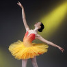 Tutu dégradé