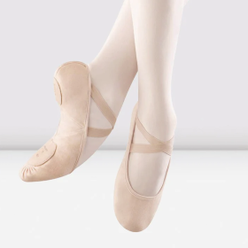 1/2 Pointes Pro Arch Canvas