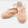 1/2 Pointes Pro Arch Canvas