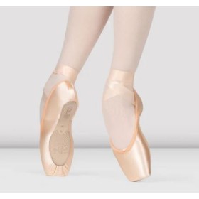 Pointes Flexus Bloch